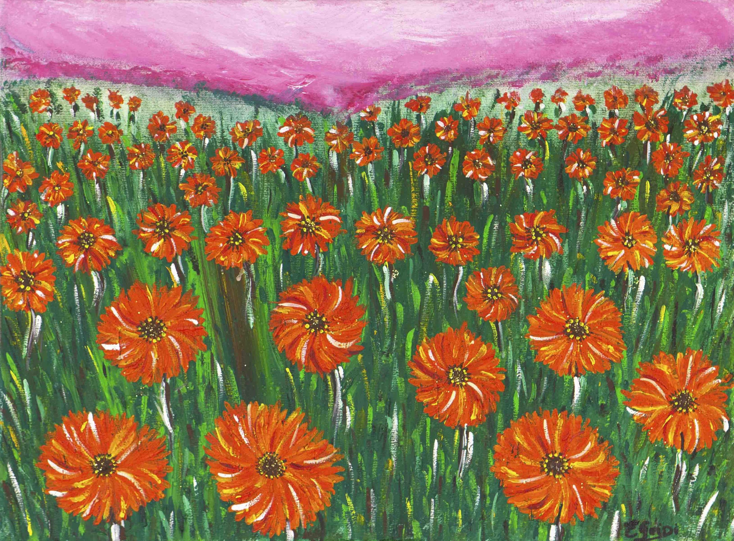 CALENDULE/GIRANDOLE
